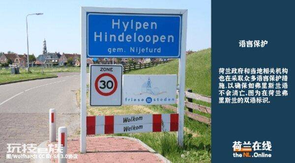 荷兰说什么语言(荷兰说什么母语及官方语言)-图片5